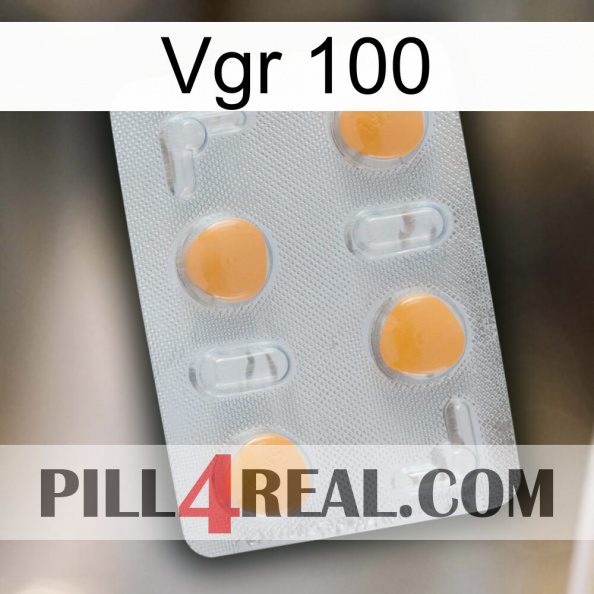 Vgr 100 24.jpg